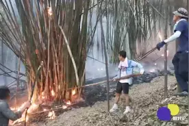 重庆山火中“惭愧”的油锯手和他的评论区图片