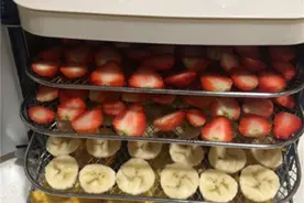 日子过久了才发现，这9件小家电根本不值得投入！看看你家有吗图片