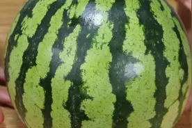 才知道，这才是西瓜正确切法，不脏手不流汁待客有面子，很实用图片