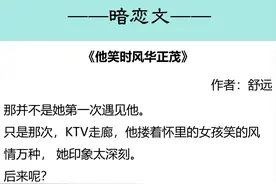 7本高质量女生暗恋男生很多年的现言文，强推《他笑时风华正茂》图片