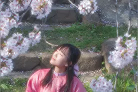 日本，沉迷樱花不能自拔图片