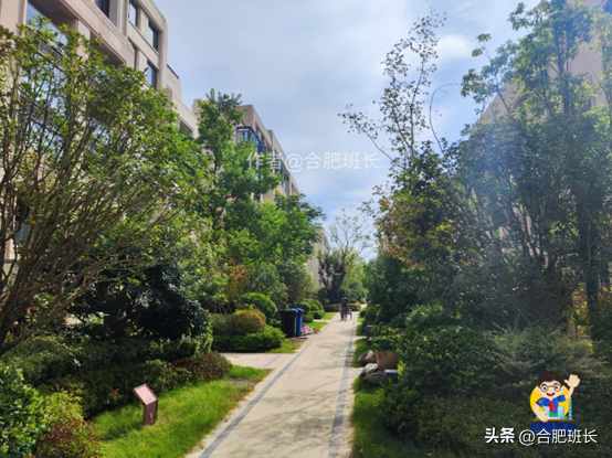 坚持高端定位和精品路线的金茂，实探高新区北雁湖金茂湾