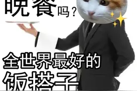 可以不谈恋爱，不能没有搭子！图片