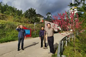 讲好乡村振兴故事（5）| 不忘乡梓，退休厅官返乡当支书图片