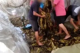 3·15打假 | 瑞幸咖啡上榜，赤脚酸菜重出江湖。图片
