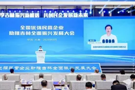 全国优强民营企业助推吉林全面振兴发展大会在长春中铁博览城举行图片