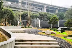 便捷+美丽！这些轨道站点有了新变化图片