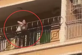 广东一女子持续高空抛物，甚至扔下气罐！社区：已介入调查图片