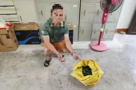 百日行动——防控、破案两不误，琼海警方抓获一盗窃槟榔男子图片