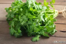 为什么有人讨厌香菜，有人特爱吃？原因是这个图片