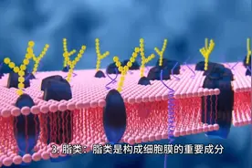 人的身体主要由以下物质组成：  1. 水图片