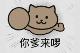 猫猫飞天人动图GIF合集图片