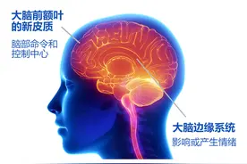 一点小事也生气，总为冲动买单，学会这5个技巧不再因愤怒而后悔图片