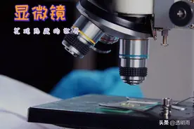 胜过孙悟空“火眼金睛”的仪器—显微镜图片