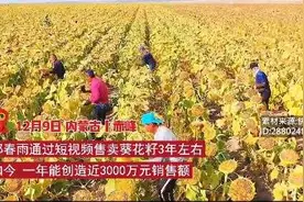 #内蒙古赤峰小伙带全村卖3千吨瓜子致富#带动乡亲共同富裕图片
