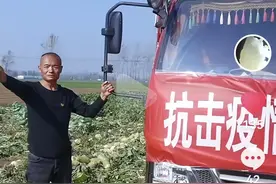 爱心传递：漯河菜农默默给中国农大捐20吨蔬菜，自己也受到了帮扶图片