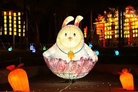 迎财神、看兔兔、赏花灯.....点击打开在深迎新春的N种方式→图片