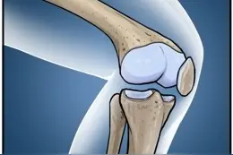 健康科普 | 5·27我爱膝日，Move Free益节助力国民关节养护连接美好生活图片
