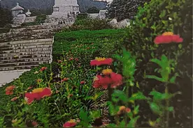 淮海战役：依靠民工胜利的伟大战役图片