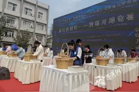 揭秘蚕茧成为蚕丝被要经历怎样的“蜕变”图片