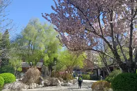 繁花似锦如梦！南园春色好，赏花正当时图片