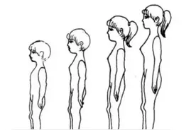乳房的一生要经历哪几个阶段？是如何“长大”的？图片