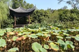 重噪广场舞 已成民公害图片