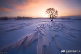 被人瞧不起时，聪明人会这样做图片