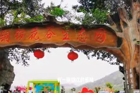 重庆南岸文艺花谷，依山而建清新脱俗，阳春三月好多小姐姐图片