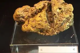 狗头金一般什么地方有？图片