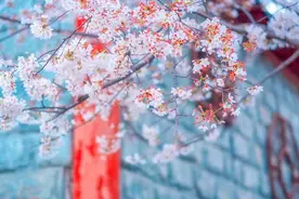 中年再读《临安春雨初霁》才明白：有一种无聊，叫陆游的痛图片