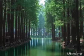 3个穴位治遗精，一次起效图片