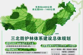扩散距离超2500公里，蒙古国的沙尘问题，中国应该怎么破？图片
