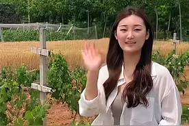陈亚男晒法院判决书，公开绑架案凶手身份，对方被判刑一年五个月图片