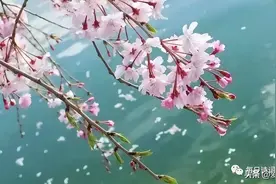 晏殊最美的一首《蝶恋花》，情致深婉，写尽相思图片