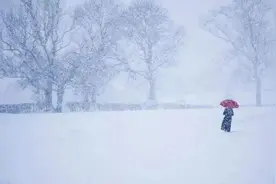 诗词丨又见雪花飞，静待故人归图片