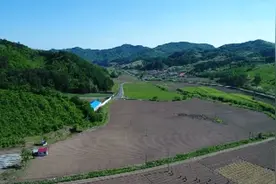 新时代新征程新伟业丨大力发展中药材产业 推动县域经济高质量发展图片