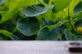 要想运势好，就不能有横梁压顶。#风水玄学图片