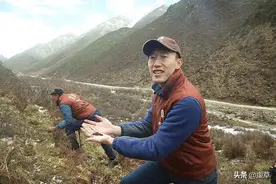 几个小技巧，教你辨别野生虫草与人工虫草图片