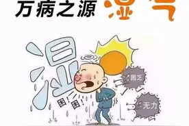 湿气太重不要怕，3味中药帮你快速解决！图片