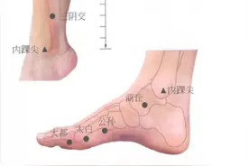 穴位图解——足太阴脾经经穴图片