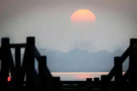 淮阳龙湖国家湿地公园里的这些可爱的鸟，你见过多少？图片