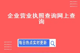 企业营业执照查询网上查询图片
