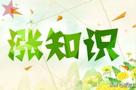 身边有了肺结核病人怎么办图片