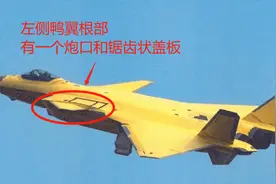 歼-20安装航空机炮，近距“狗斗”状态时，就不用担忧导弹打光了图片