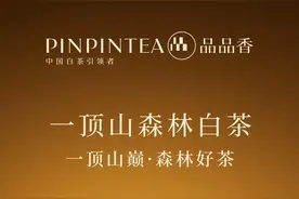 十款仰望级别的福鼎白茶天花板图片