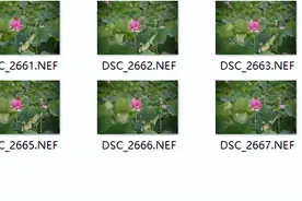 简单实用的制作一个动态gif图图片