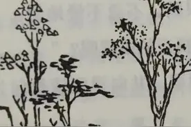 了凡四训之：勿以恶小而为之，勿以善小而不为图片