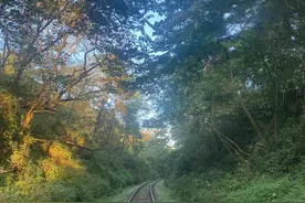 一条废弃的铁路图片