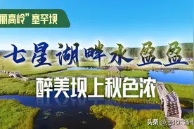 “美丽高岭”塞罕坝｜七星湖畔水盈盈 醉美坝上秋色浓图片